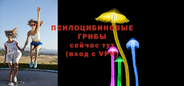 кристаллы Мегион