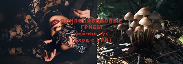 МДПВ Медногорск