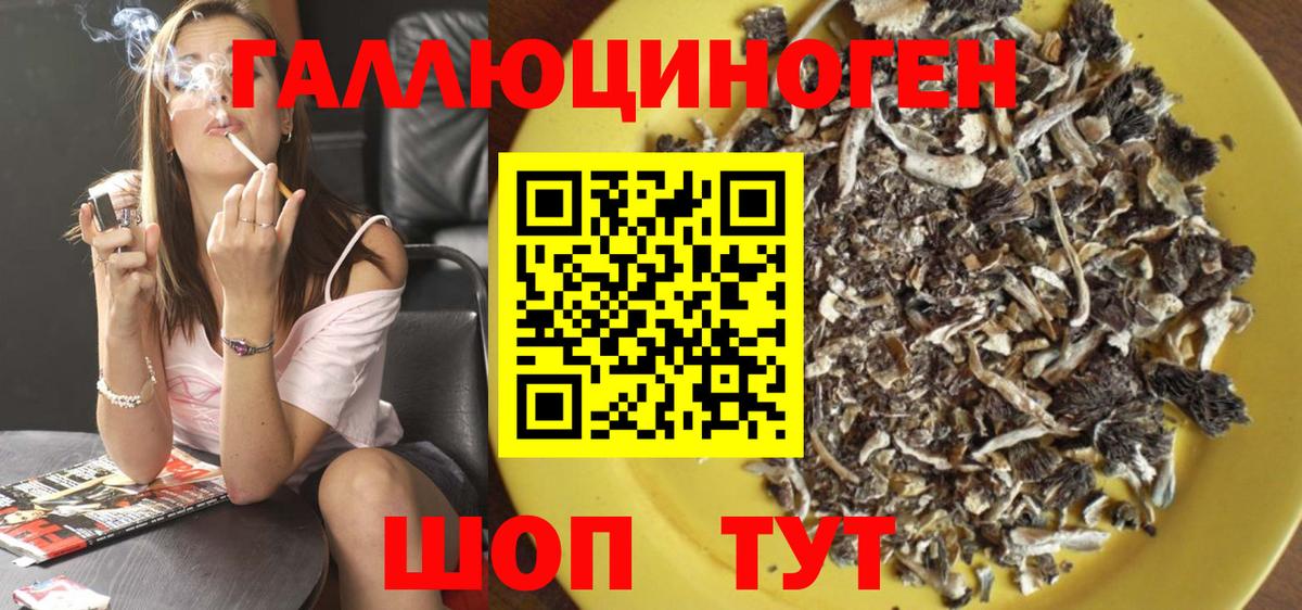 Галлюциногенные грибы Magic Shrooms Сухой Лог
