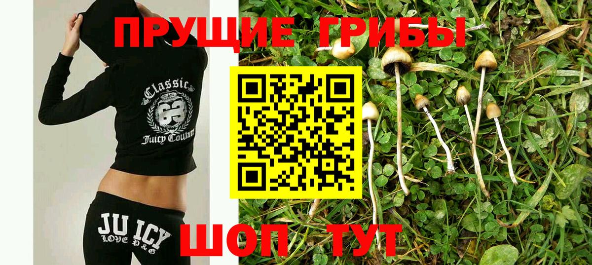 Сухой Лог  Псилоцибиновые грибы мухоморы  Вход с VPN 